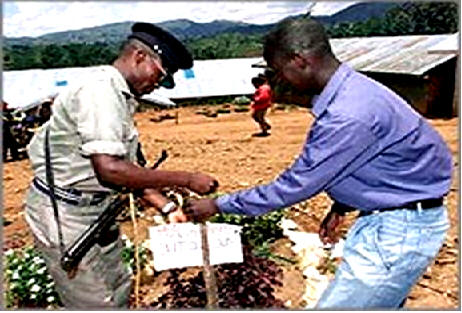 Tumbas improvisadas en Kanungu, Uganda