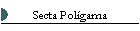 Secta YFZ, Texas